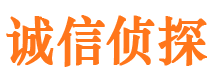 鹿泉婚外情调查取证